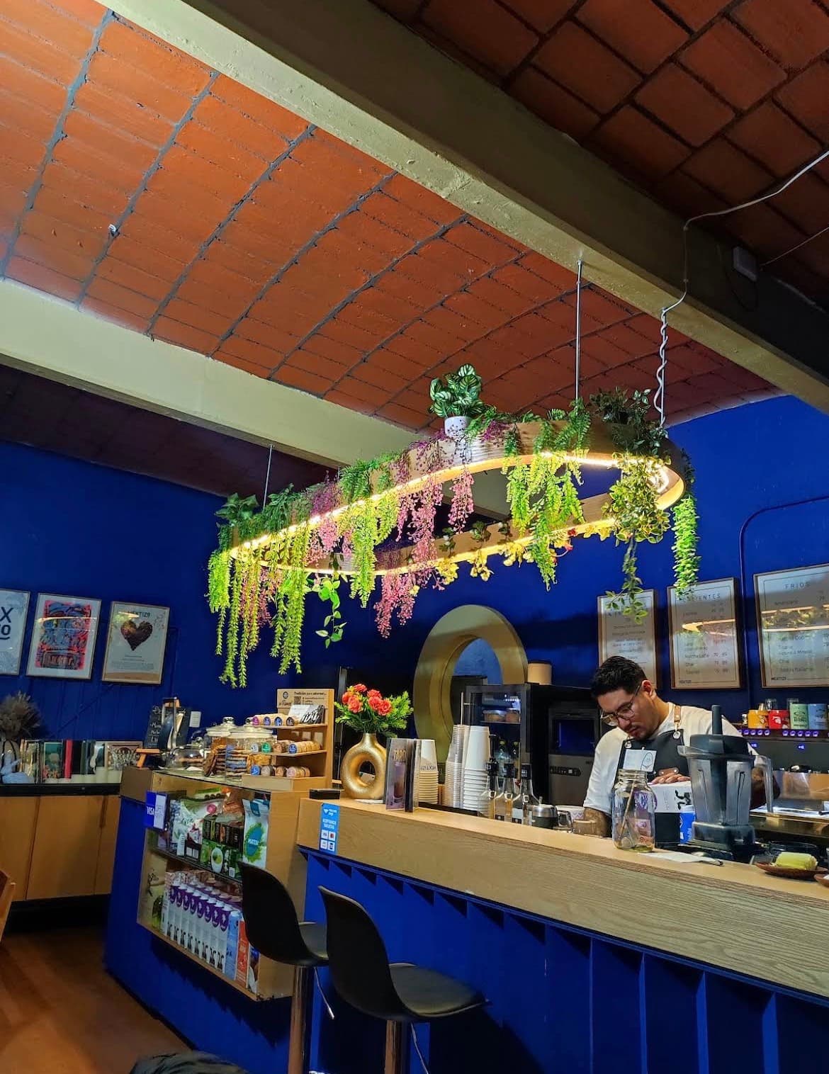 Interior de Mextizo Café con techo de bóveda de ladrillo, lámpara colgante con plantas y la barra al fondo